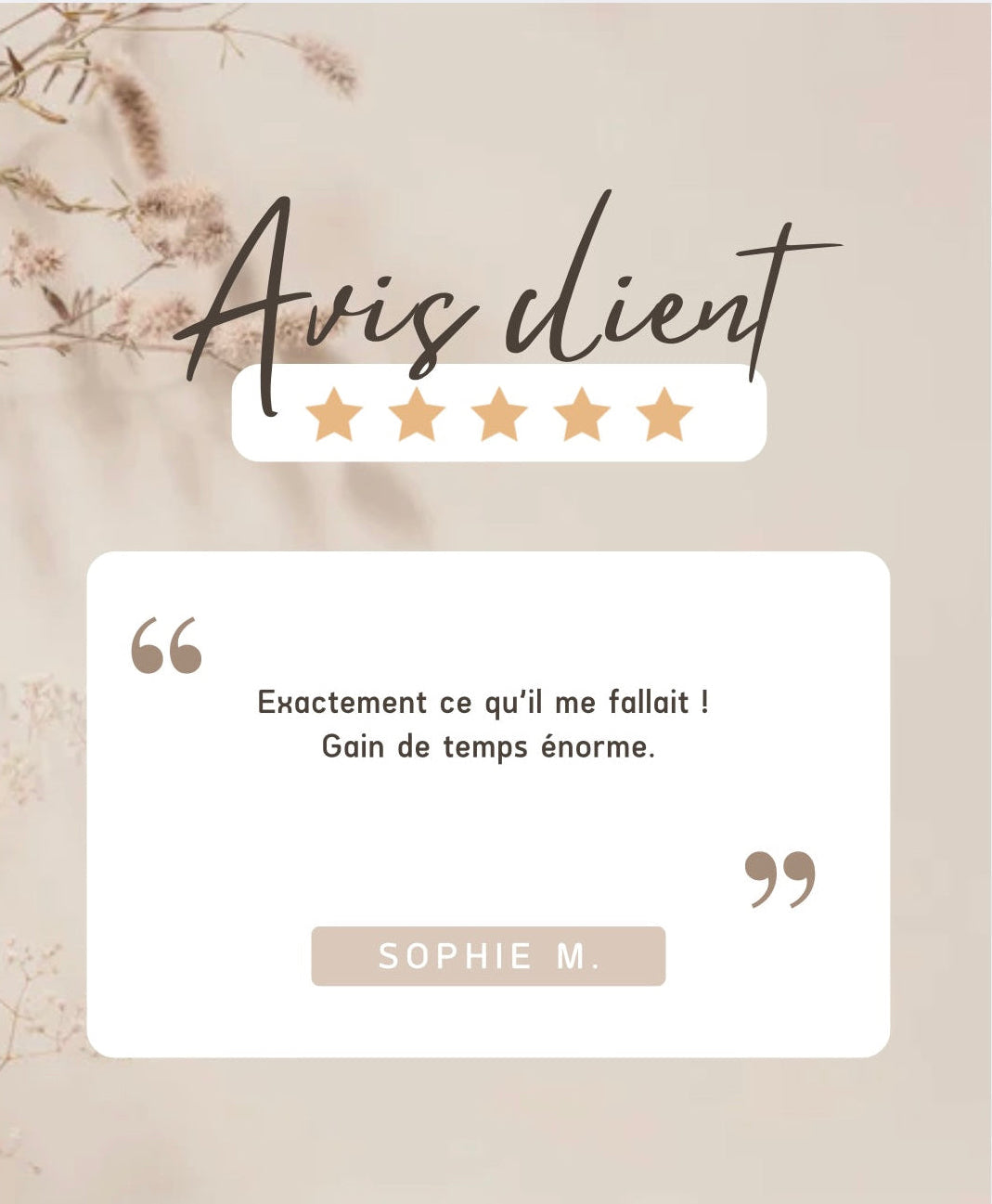 Pack 50 Templates Canva Réseaux Sociaux – Un feed pro en 2 minutes